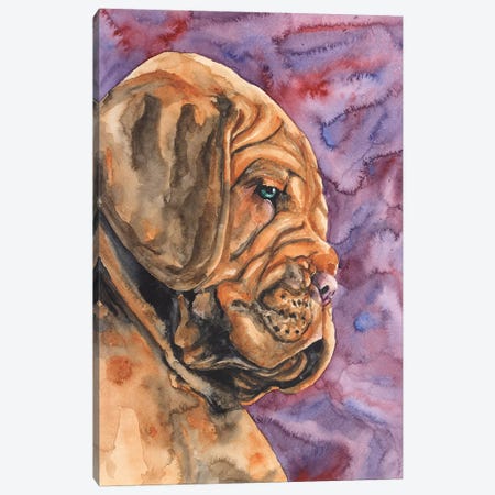 Dogue de Bordeaux Puppy Canvas Print #GDY52} by George Dyachenko Canvas Art