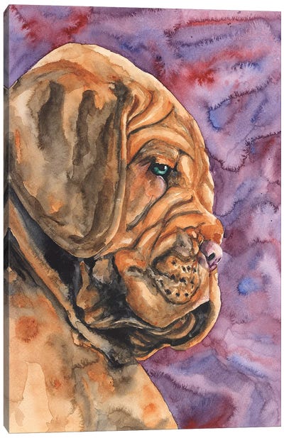 Dogue de Bordeaux Puppy Canvas Art Print - Shar-Pei Art