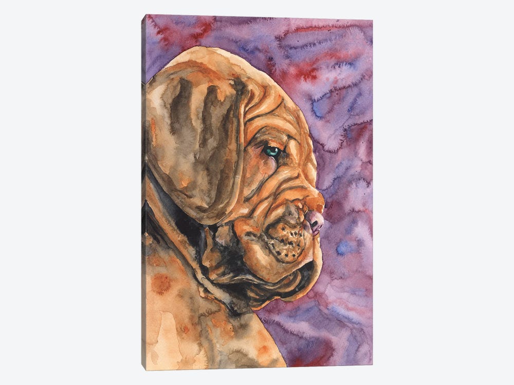 Dogue de Bordeaux Puppy by George Dyachenko 1-piece Canvas Print