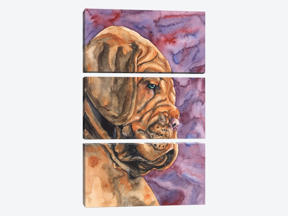 Dogue de Bordeaux Puppy by George Dyachenko 3-piece Canvas Print