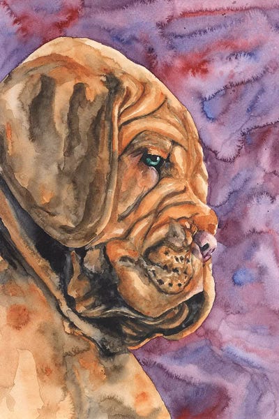 Shar-Peis: Dogue de Bordeaux Puppy by George Dyachenko