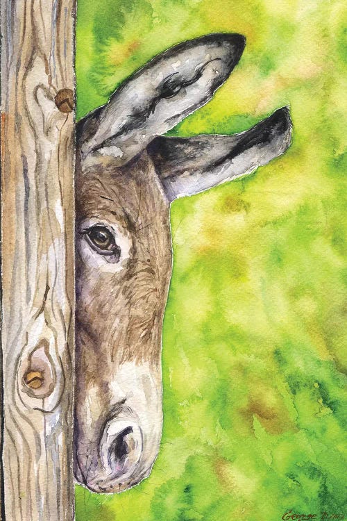 Donkey In Nature by George Dyachenko wall art