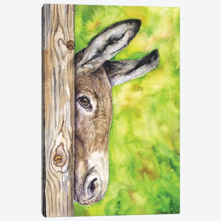 Donkey In Nature Canvas Print #GDY53} by George Dyachenko Canvas Artwork