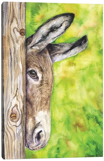 Donkey In Nature Canvas Art Print - George Dyachenko