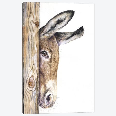 Donkey On White Canvas Print #GDY54} by George Dyachenko Canvas Print