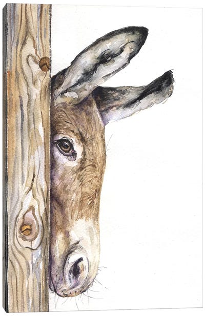 Donkey On White Canvas Art Print - George Dyachenko