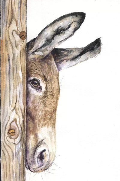 Donkeys: Donkey On White by George Dyachenko