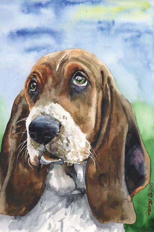Basset III by George Dyachenko wall art