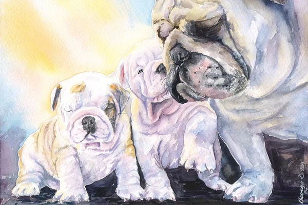 Bulldogs: English Bulldog Family by George Dyachenko