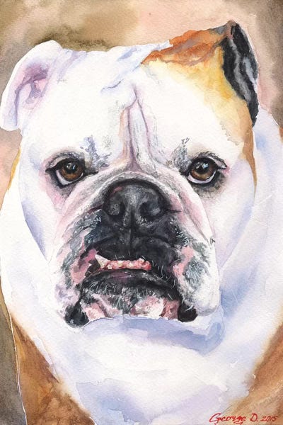 English Bulldog I by George Dyachenko metal wall art
