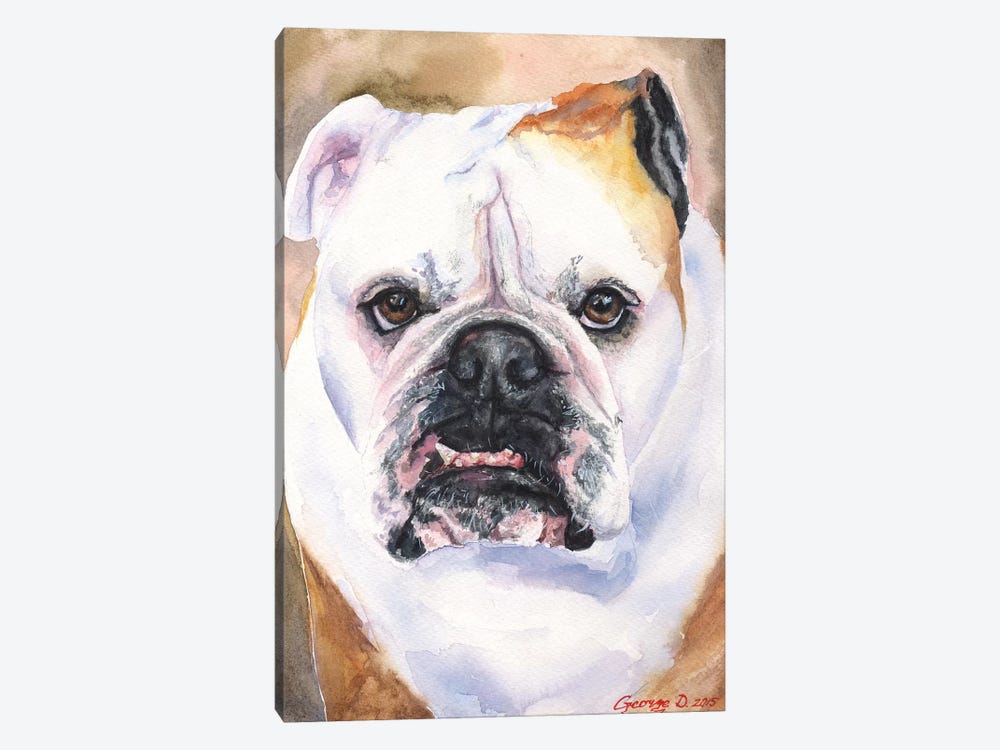 English Bulldog I by George Dyachenko 1-piece Art Print