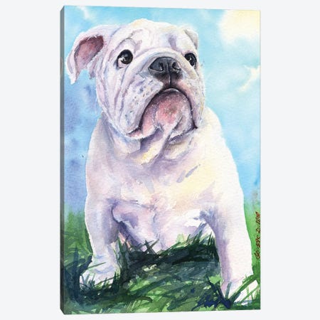 English Bulldog II Canvas Print #GDY62} by George Dyachenko Canvas Art Print