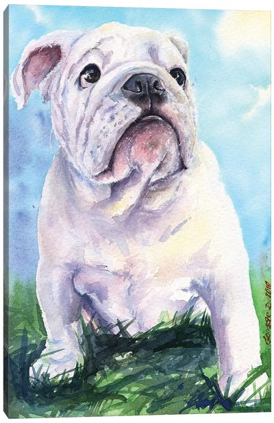 English Bulldog II Canvas Art Print - Bulldog Art