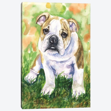 English Bulldog IV Canvas Print #GDY64} by George Dyachenko Canvas Art