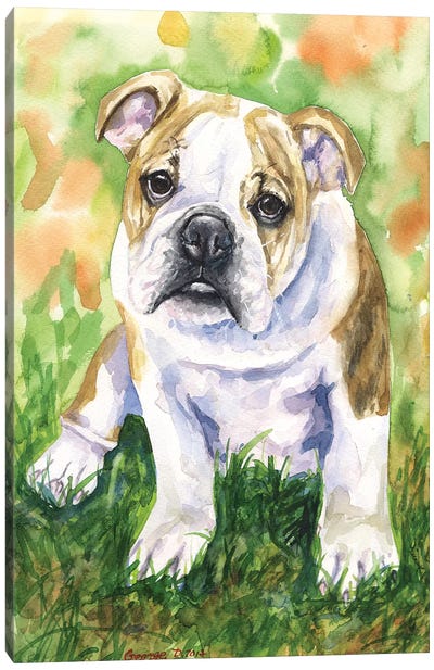 English Bulldog IV Canvas Art Print - Bulldog Art