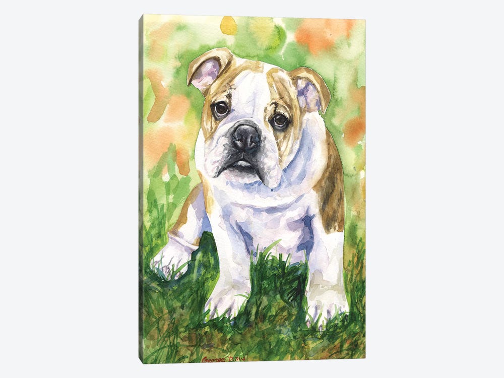 English Bulldog IV by George Dyachenko 1-piece Canvas Wall Art