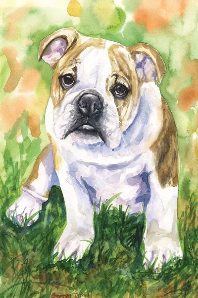 Bulldogs: English Bulldog IV by George Dyachenko