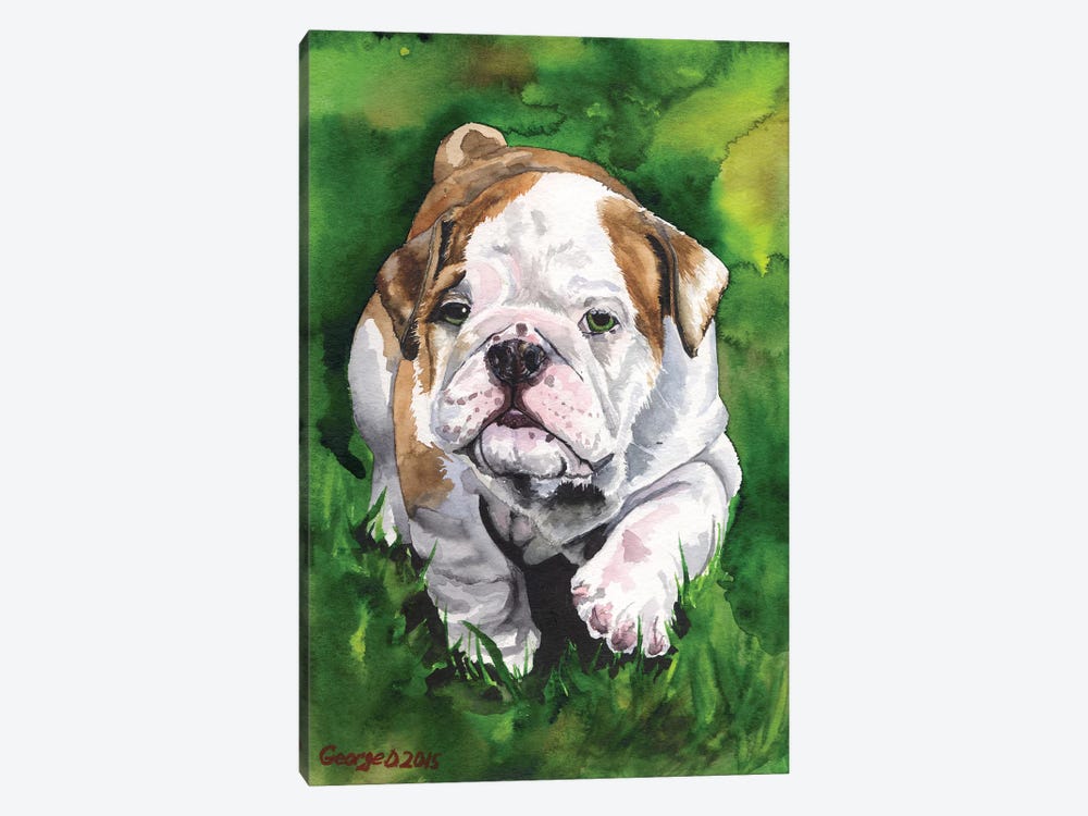 English Bulldog Puppy by George Dyachenko 1-piece Art Print