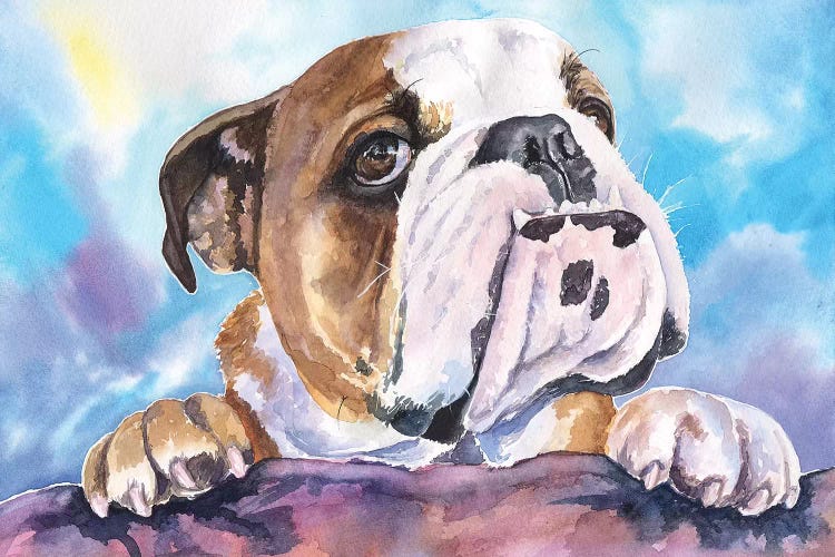 English Bulldog V by George Dyachenko wall art