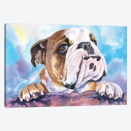 English Bulldog V Canvas Print #GDY66} by George Dyachenko Canvas Wall Art