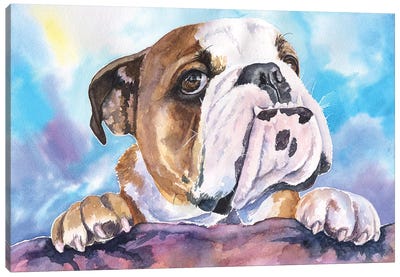 English Bulldog V Canvas Art Print - Bulldog Art