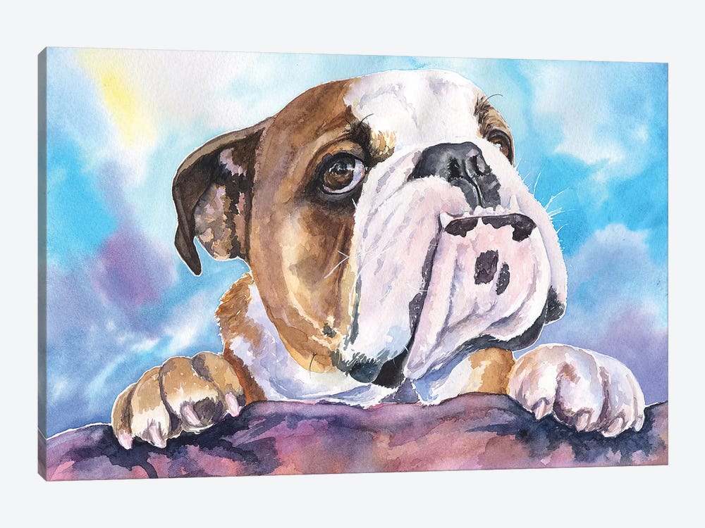 English Bulldog V 1-piece Canvas Wall Art