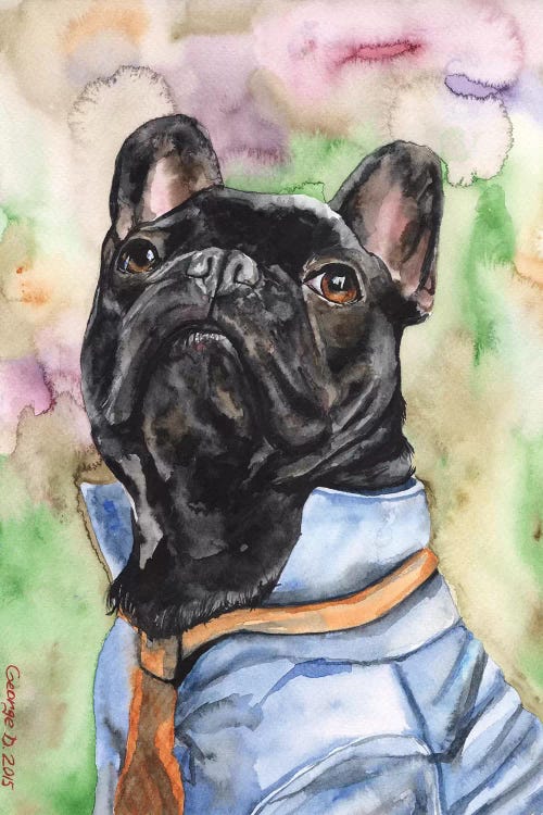 Fancy French Bulldog by George Dyachenko wall art