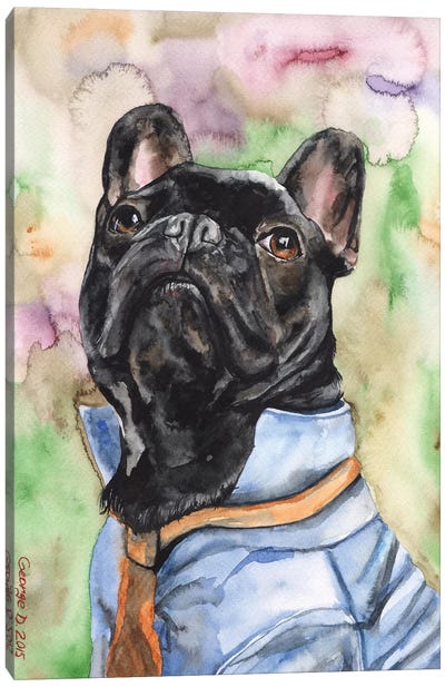 Fancy French Bulldog Canvas Art Print - French Bulldog Art