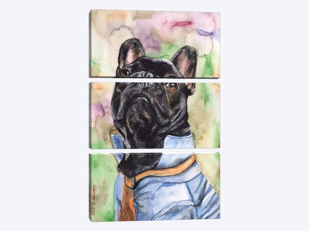 Fancy French Bulldog by George Dyachenko 3-piece Canvas Print