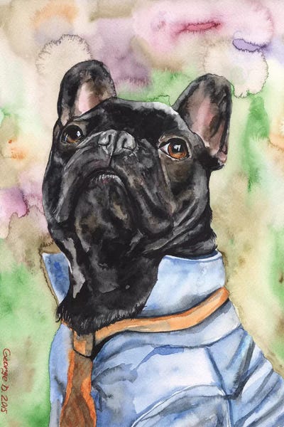 French Bulldogs: Fancy French Bulldog by George Dyachenko
