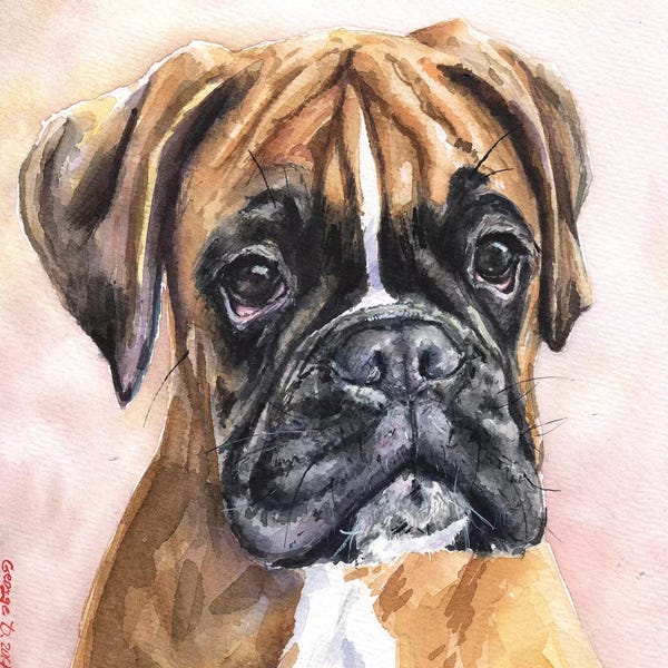 Boxers: Fina Boxer by George Dyachenko