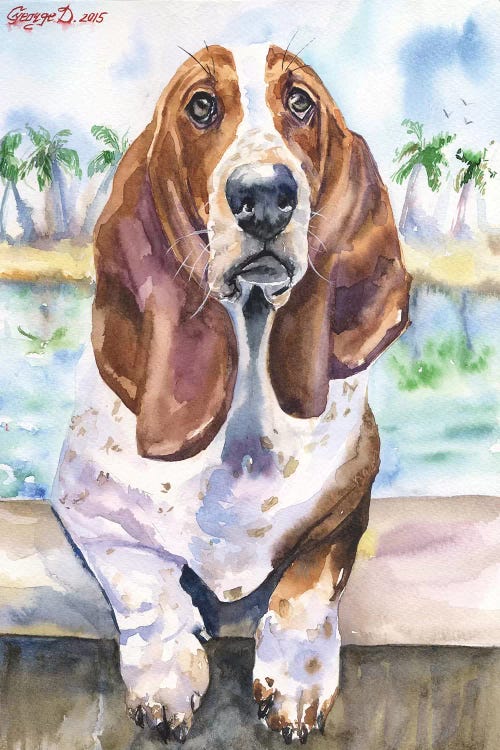 Basset IV by George Dyachenko wall art