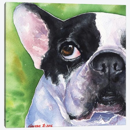French Bulldog Canvas Print #GDY70} by George Dyachenko Canvas Wall Art