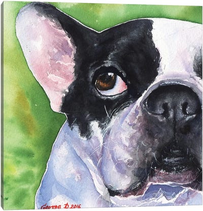 French Bulldog Canvas Art Print - George Dyachenko