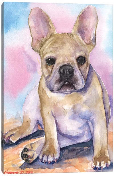French Bulldog Puppy I Canvas Art Print - French Bulldog Art