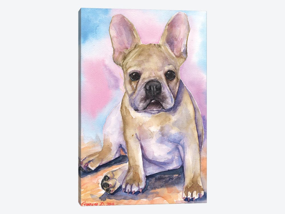 French Bulldog Puppy I by George Dyachenko 1-piece Canvas Artwork