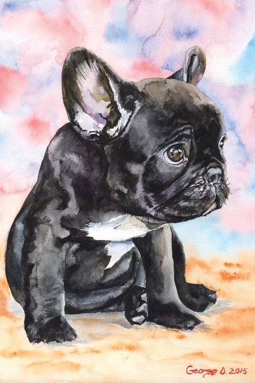 French Bulldog Puppy II by George Dyachenko wall art