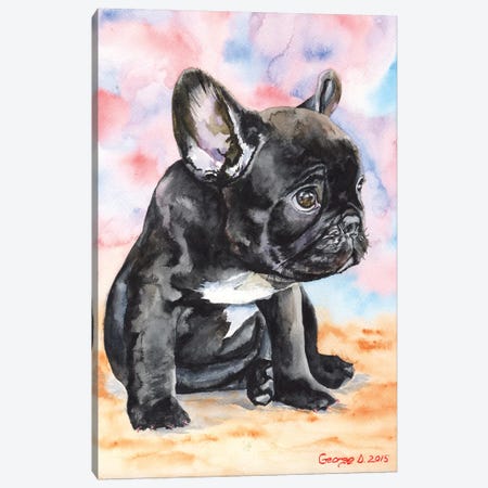 French Bulldog Puppy II Canvas Print #GDY72} by George Dyachenko Canvas Art