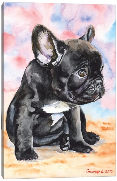 French Bulldog Puppy II Canvas Art Print - French Bulldog Art