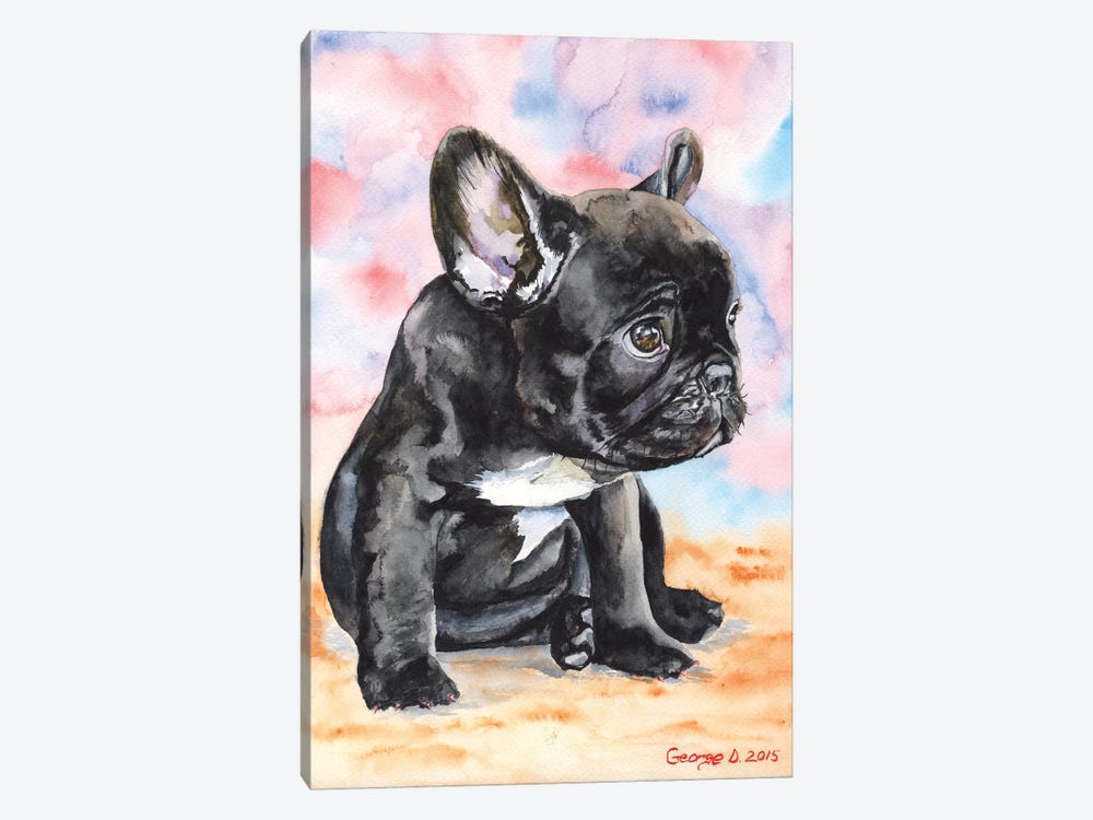 French Bulldog Puppy II by George Dyachenko 1-piece Canvas Print