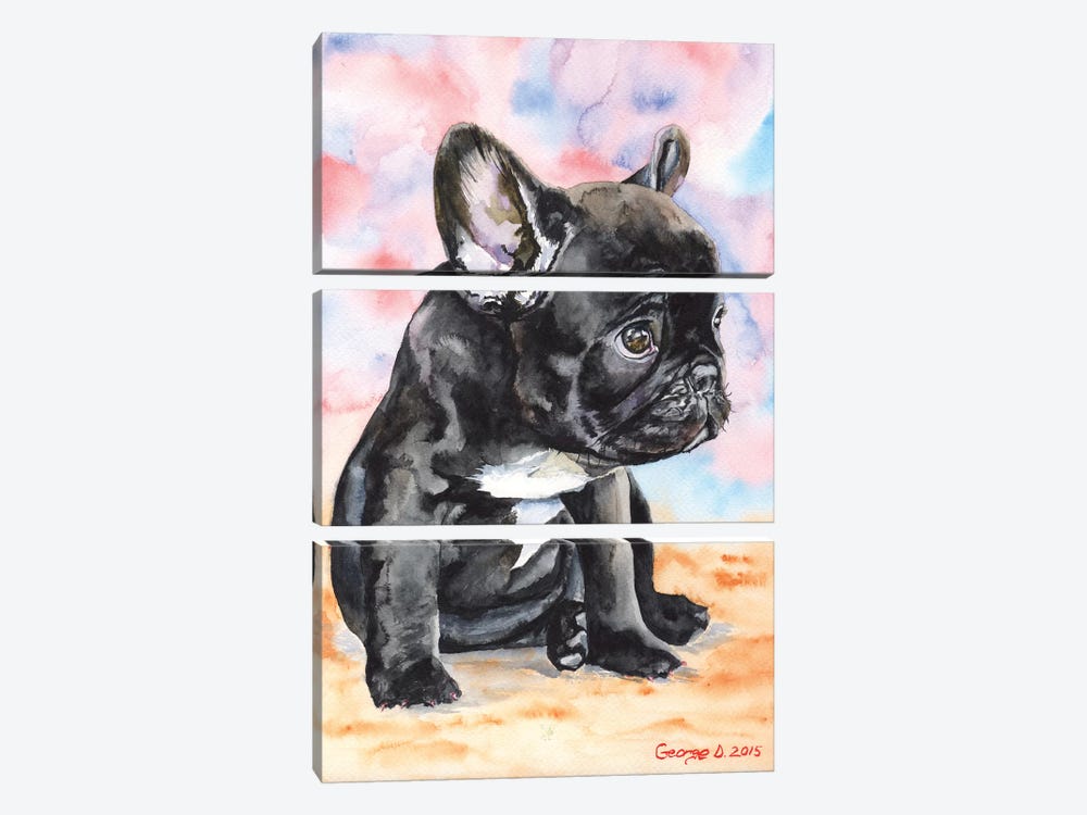 French Bulldog Puppy II by George Dyachenko 3-piece Art Print