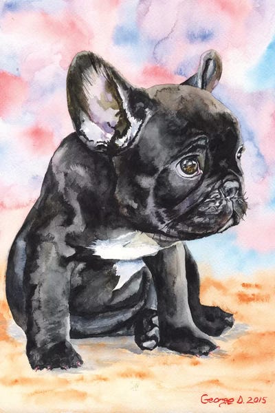 French Bulldogs: French Bulldog Puppy II by George Dyachenko