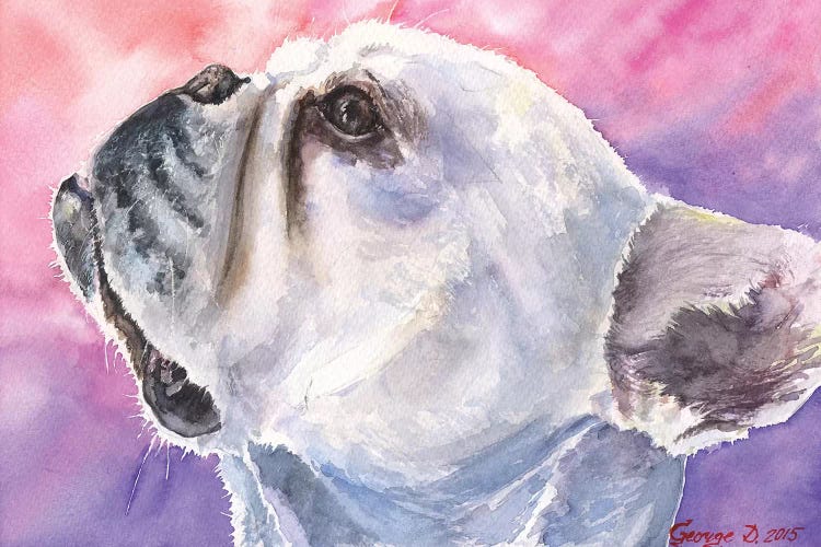 French Bulldog VI by George Dyachenko canvas print