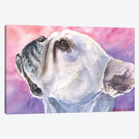French Bulldog VI Canvas Print #GDY73} by George Dyachenko Canvas Art
