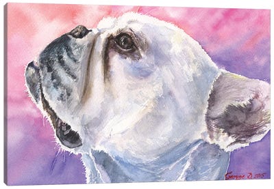 French Bulldog VI Canvas Art Print - French Bulldog Art