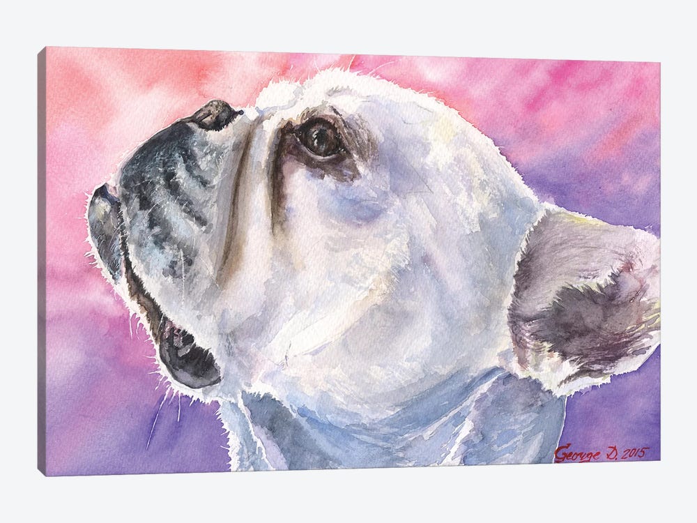 French Bulldog VI by George Dyachenko 1-piece Canvas Art