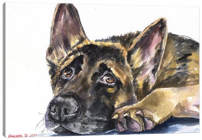 Corgi Dog Lolling Tongue Graphite Pencil Sketch On Canvas by George  Dyachenko Print