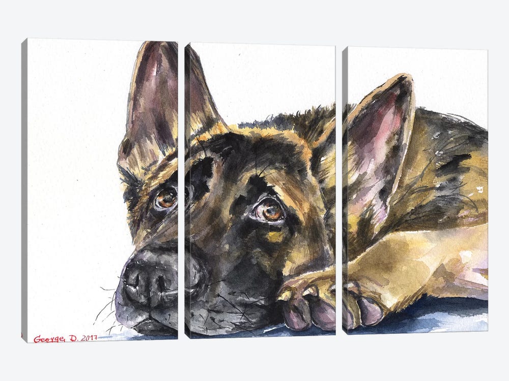 German Shepherd by George Dyachenko 3-piece Canvas Art