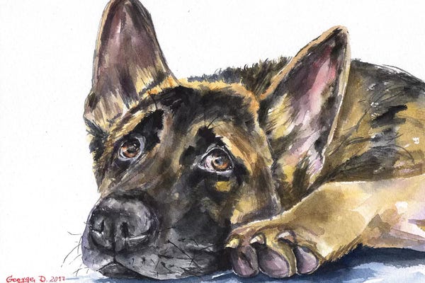 German Shepherds: German Shepherd by George Dyachenko