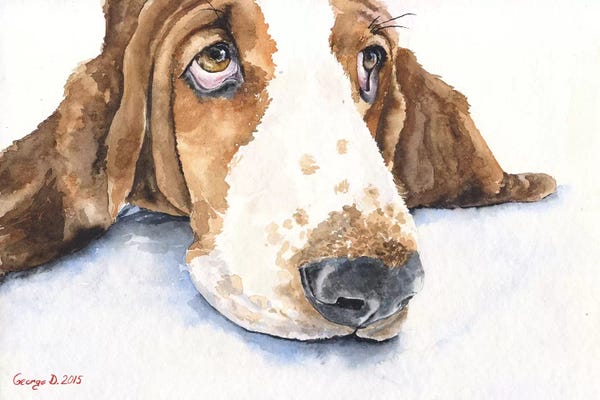 Basset Hounds: Basset V by George Dyachenko